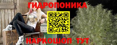 прущая мука Лесосибирск