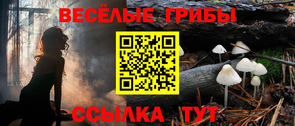 как найти закладки  Псилоцибиновые грибы ЛСД  Галлюциногенные грибы Magic Shrooms  Вход с VPN  Дзержинск 