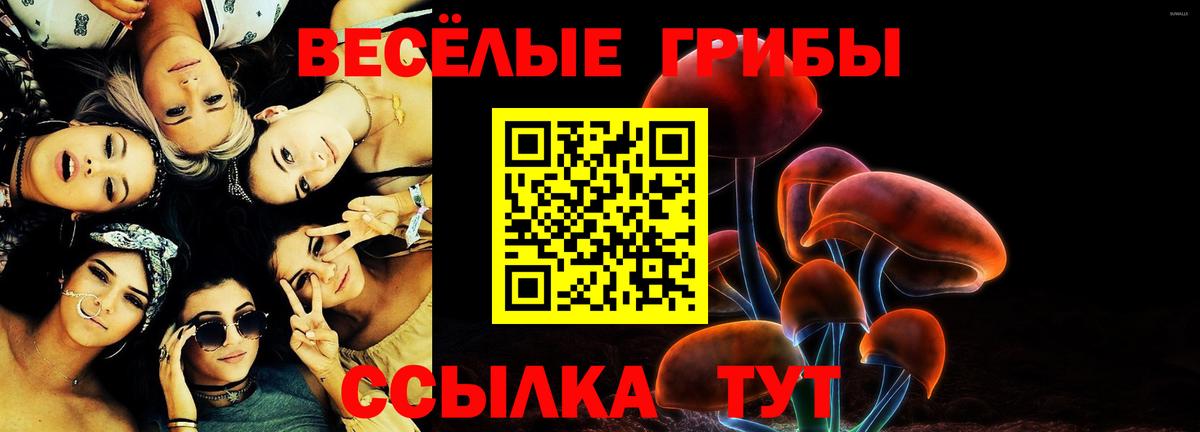 Галлюциногенные грибы мухоморы Дзержинск